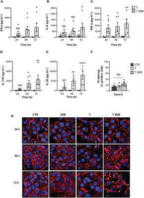 Targeting staphylococcal enterotoxin B binding to CD28 as a new strategy for dampening superantigen-mediated intestinal epithelial barrier dysfunctions